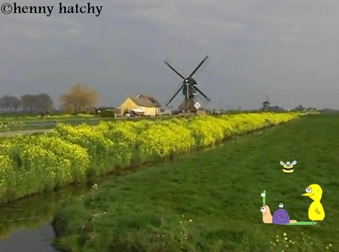 henny hatchy Sniggel Geschenk Henny hatchy Sniggel Wyrm Plumbee jimjams Kken Spinne Schnecke Hummel Regenwurm Wurm Comic Cartoon Die Windmhlen von Kinderdijk - Niederlande
19 Windmhlen befinden sich in diesem Komplex.  1738-1740 wurden sie gebaut um Wasser in den Fluss Lek umzuleiten. Obwohl moderne Erfindungen die Funktion der Windmhlen bernommen haben, bleiben sie doch ein einzigartiges Bild in der niederlndischen Landschaft: die drehenden Mhlrder von Kinderdijk bieten den Besuchern ein beeindruckendes Schauspiel.
