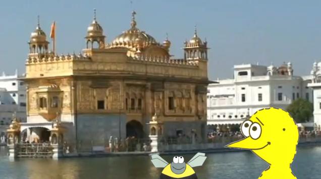 henny hatchy Sniggel Geschenk Henny hatchy Sniggel Wyrm Plumbee jimjams Kken Spinne Schnecke Hummel Regenwurm Wurm Comic Cartoon Goldener Tempel - Amritsar - Indien
