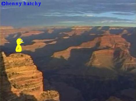 henny hatchy Grand Canyon Arizona USA henny hatchy Sniggel Geschenk Henny hatchy Sniggel Wyrm Plumbee jimjams Kken Spinne Schnecke Hummel Regenwurm Wurm Comic Cartoon